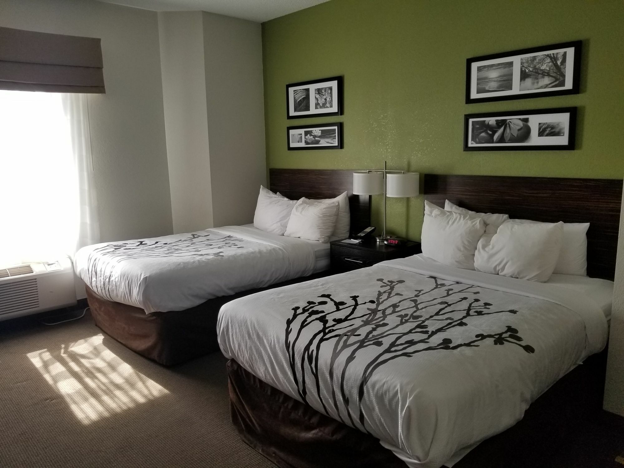 Sleep Inn Walterboro I-95 Bagian luar foto